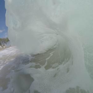 Meet your Posher, Peter